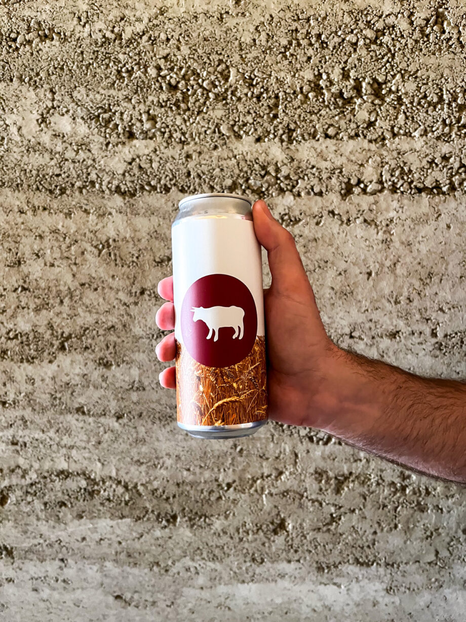 Dinkel Farmhouse Ale - 2 Flaschen