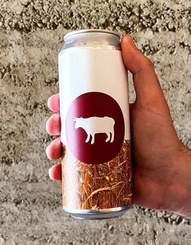 Dinkel Farmhouse Ale - 2 Flaschen